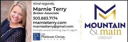 Marnie Terry Realtor